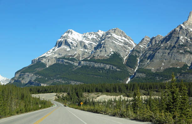 istock Landscape with Icefield Parkway 1142450066