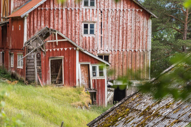 istock lost place in a norway forest 1142450070