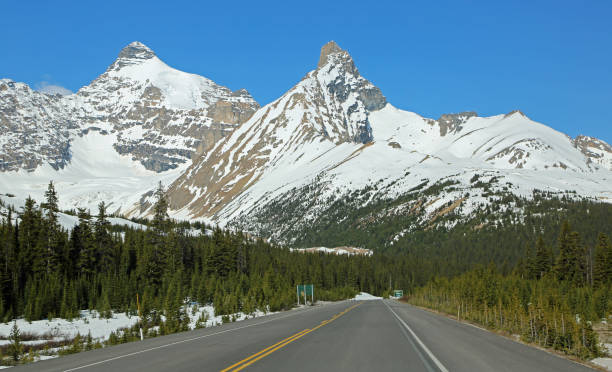 istock View at glaciers from Icefield Parkway 1142450108