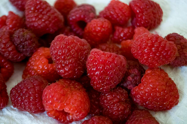 istock Big ripe raspberries are laying on the  table covered with white tablecloth 1142451264