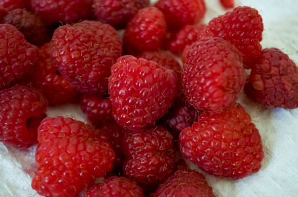 istock Big ripe raspberries are laying on the  table covered with white tablecloth 1142451332
