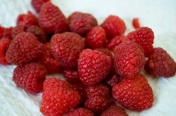 istock Big ripe raspberries are laying on the  table covered with white tablecloth 1142451415