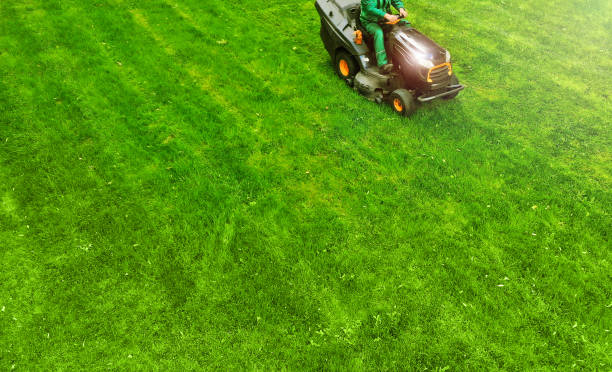 istock Gardener with professional lawn mower for grass cutting 1142452534