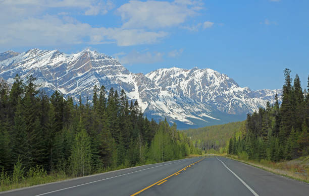 istock Idyllic landscape with Icefield Parkway 1142455068