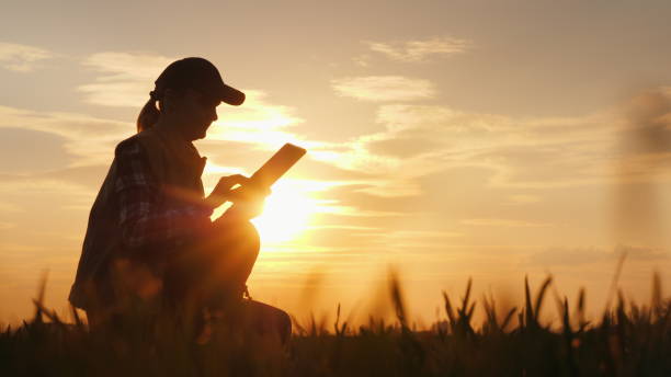 silueta de un agricultor que trabaja con una tableta digital en el campo al atardecer - farmer rural scene laptop computer fotografías e imágenes de stock