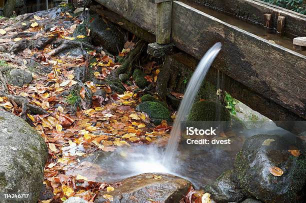 Water Spout Stock Photo - Download Image Now - Appalachia, Appalachian Mountains, Autumn