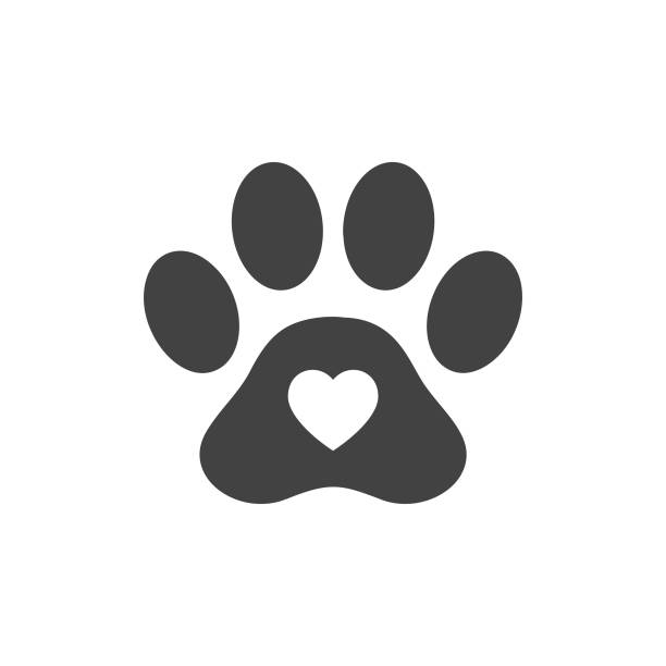 herzform oder liebe symbol in tier pfote druck für haustier pflege symbol konzept vektor-illustration. - dog paw print images stock-grafiken, -clipart, -cartoons und -symbole