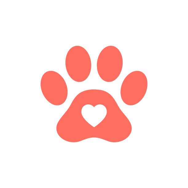 Heart shape icon in red pink colored animal paw print. Heart shape love symbol in animal paw print for pet care icon concept. color image wildlife animal animal body part stock illustrations