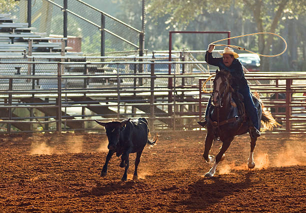 istock Senior cowboy roping the calf 114246896