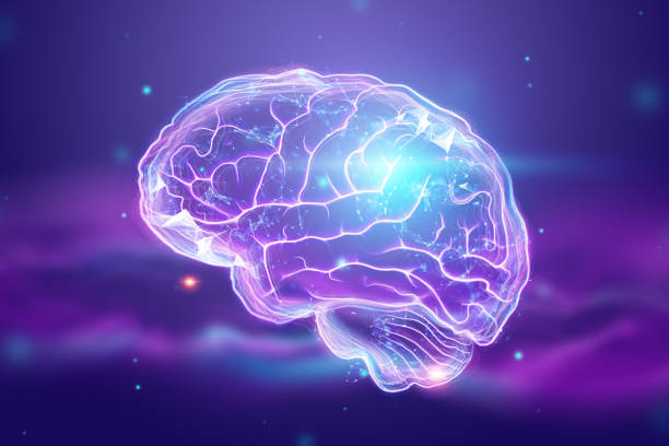 The image of the human brain, a hologram, a dark background. The concept of artificial intelligence, neural networks, robotization, machine learning. 3D illustration, copy space. The image of the human brain, a hologram, a dark background. The concept of artificial intelligence, neural networks, robotization, machine learning. 3D illustration, copy space. nerve cell stock pictures, royalty-free photos & images