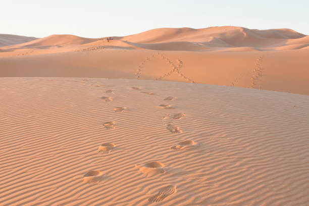 istock Morocco, Erg Chebbi dunes at Sahara desert 1142478670