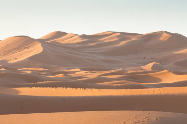 istock Morocco, Erg Chebbi dunes at Sahara desert 1142478698