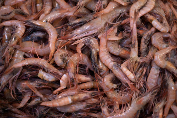 istock Close Up Shrimps in Fish Market 1142479930