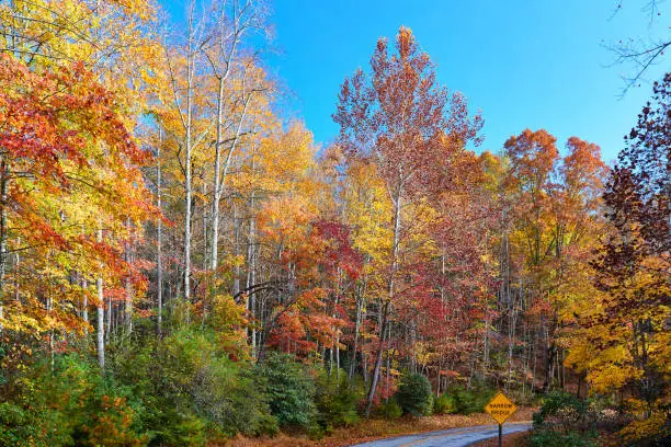 Autumn colors at Stone Mountain State Park, located in the Blue Ridge mountains near Roaring Gap, North Carolina