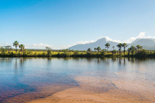 istock Mayupa island beach. Canaima National Park, Venezuela 1142485251