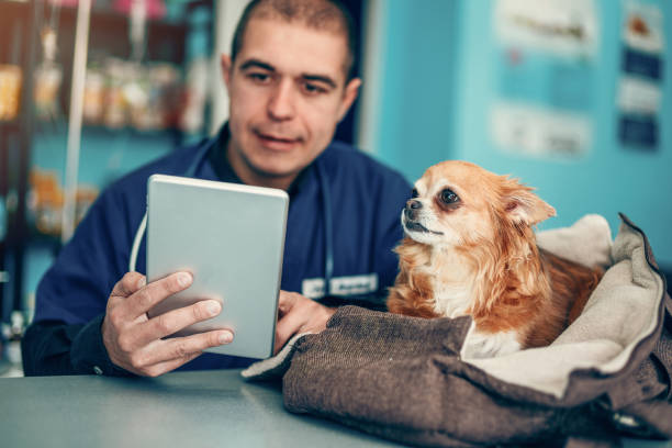 veterinário novo com cão e tabuleta digital - vet men laboratory holding - fotografias e filmes do acervo