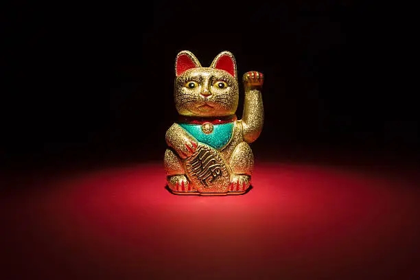 Chinese lucky cat Maneki Neko shot on a red background within a small pool of light. Image captured using a Canon 1Ds MkII, L series lens.