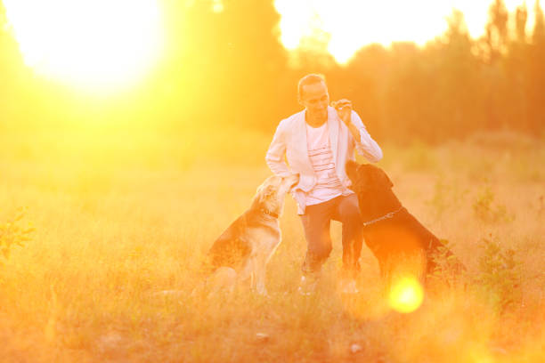 istock A man with two dogs walking on a sunny meadow 1142492503