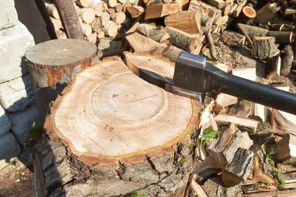 istock Strong lumberjack chopping wood, 1142492523