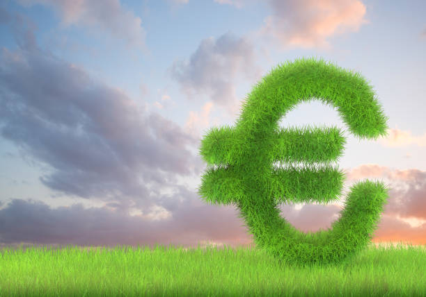 istock A euro sign in lush green grass on a cloudscape  background 1142496849