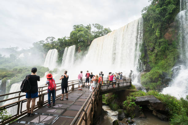 blick auf wasserfall - iguacu falls argentina tropical rainforest rainbow stock-fotos und bilder