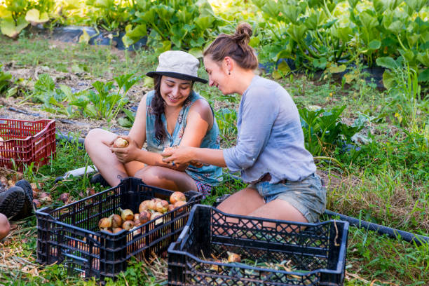 istock Group people working in community garden 1142499322
