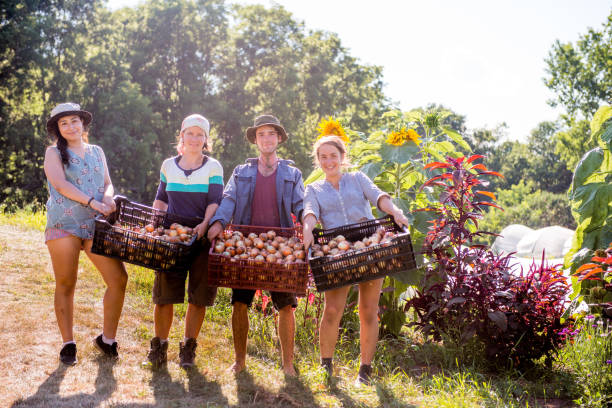 Group people working in community garden