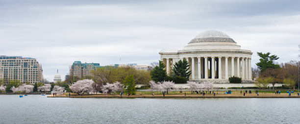 istock Jefferson Memorial with Cherry Blossom, Washington, D.C. 1142504634