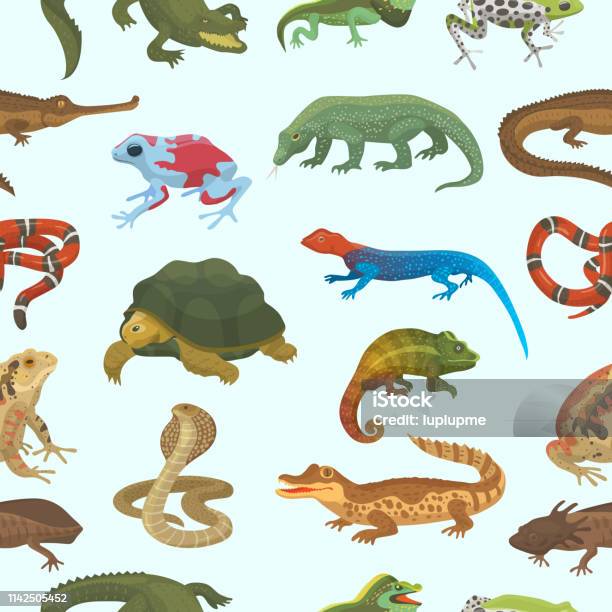 Vector Reptile Nature Lizard Animal Wildlife Wild Chameleon Sna Stock Illustration - Download Image Now