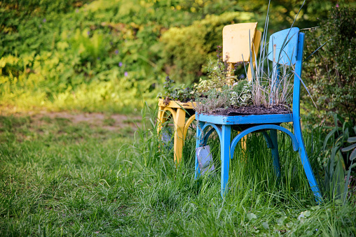 wooden chairs in summer garden element of landscape gardening