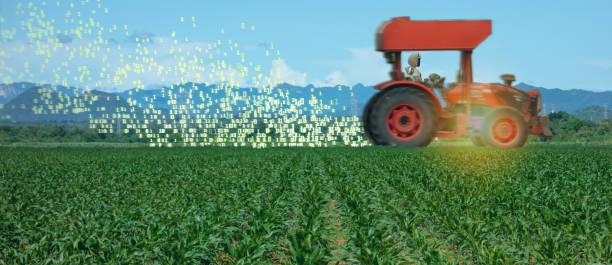 istock iot smart farming, agriculture in industry 4.0 technology with artificial intelligence and machine learning concept. it help to improve, categorized, specified goal, solve problem, keep goal, predict 1142508095