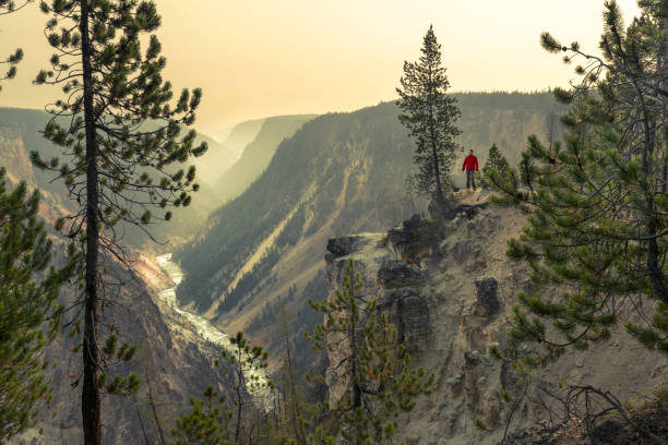 człowiek trekking przez wielki kanion rzeki yellowstone - scenics natural landmark local landmark international landmark zdjęcia i obrazy z banku zdjęć