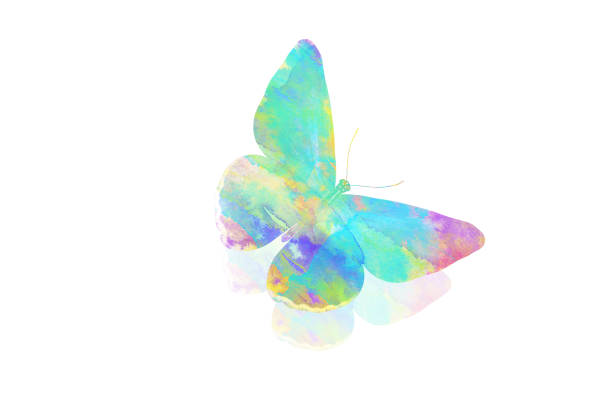 istock watercolor butterfly. tropical insect for design. isolated on white background 1142514295