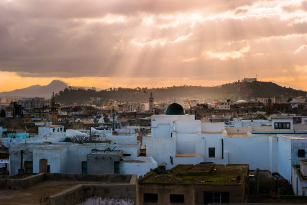 istock Skyline of Tunis at dawn. 1142515279
