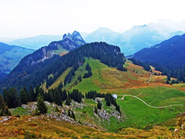 Photo of Alpine landscape and hills of Obertoggenburg region und the River Thur valley, Stein