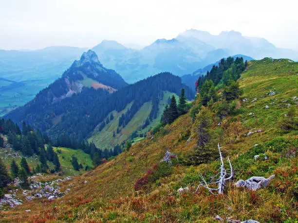 Photo of Alpine landscape and hills of Obertoggenburg region und the River Thur valley, Stein