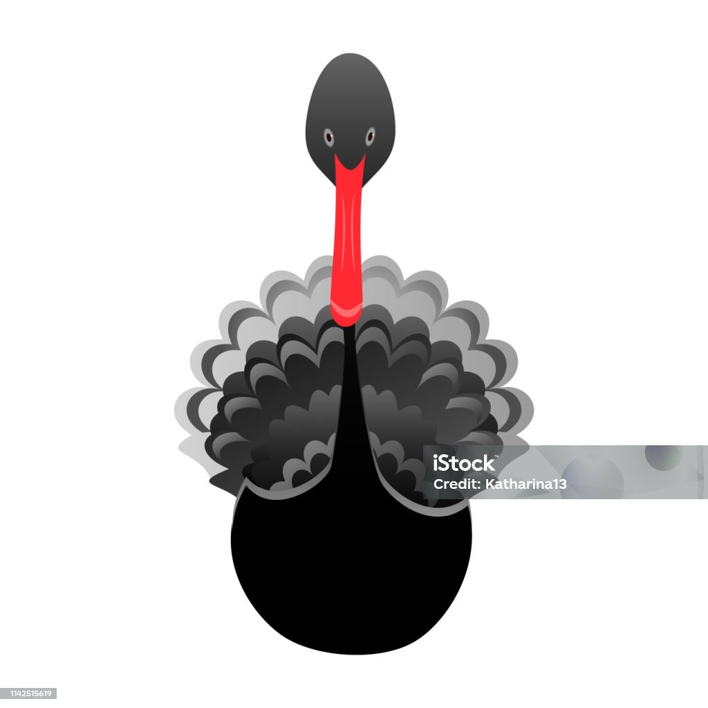 Australian black swan isolated on white background Black swan cartoon character isolated on white background. Cute native Australian wildlife hand drawn vector illustration Black Swan stock vector