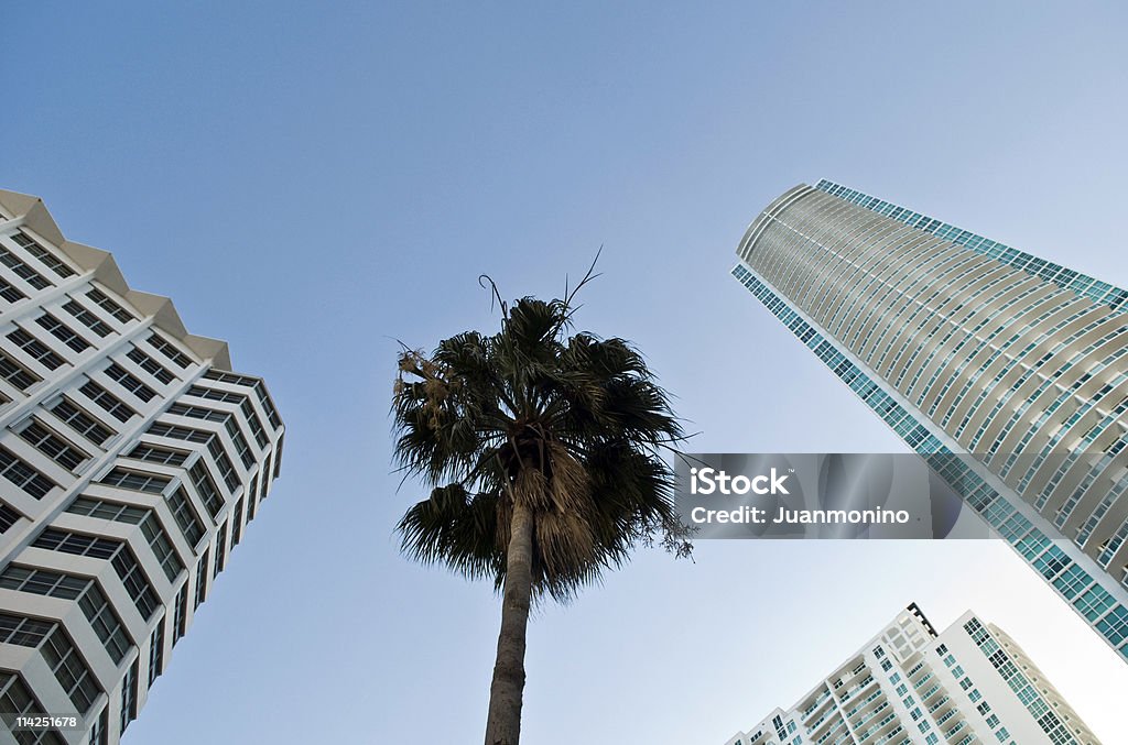 Tropical Urban Miami - Foto stock royalty-free di Affari