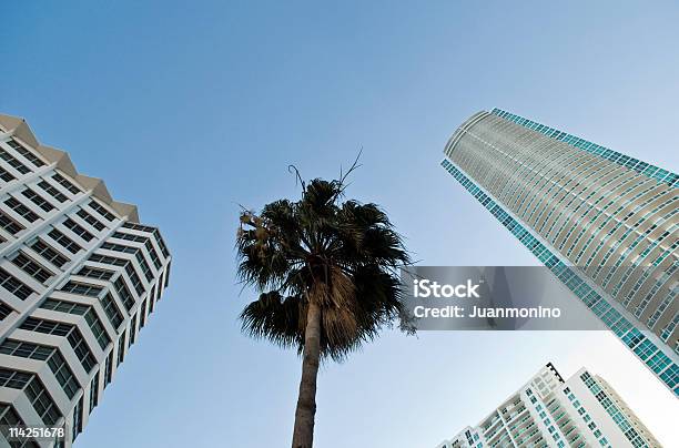 Tropical Urban Miami - Fotografie stock e altre immagini di Affari - Affari, Albergo, Ambientazione esterna