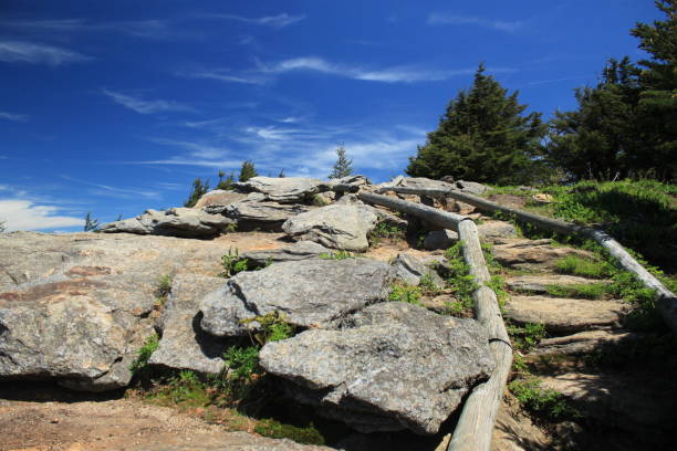 istock The Black Mountain Crest Trail 1142522448