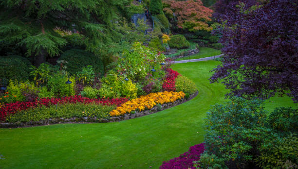 istock Flower garden in British Colombia 1142526958