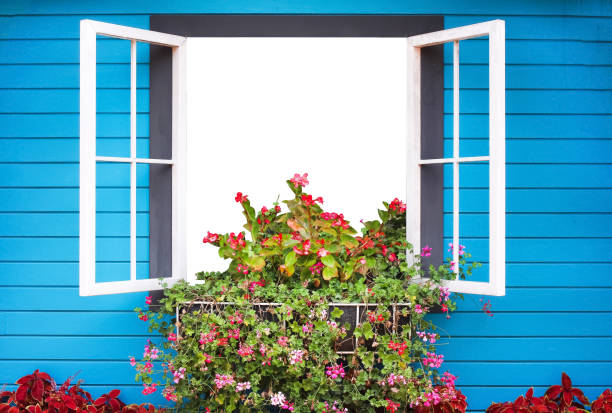 istock Open window with colorful flowers and bright blue planks on wall background 1142528280