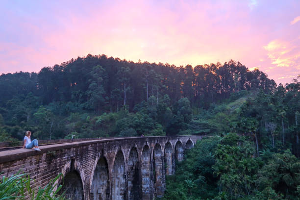 istock Sitting in bridge and enjoying the view of forest 1142529073