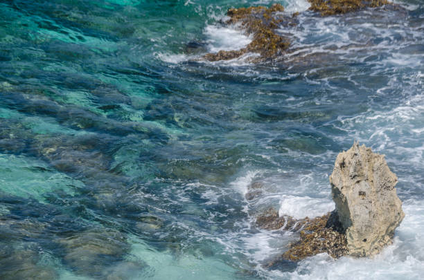 istock Ocean view from Isla mujeres figure 1142533635