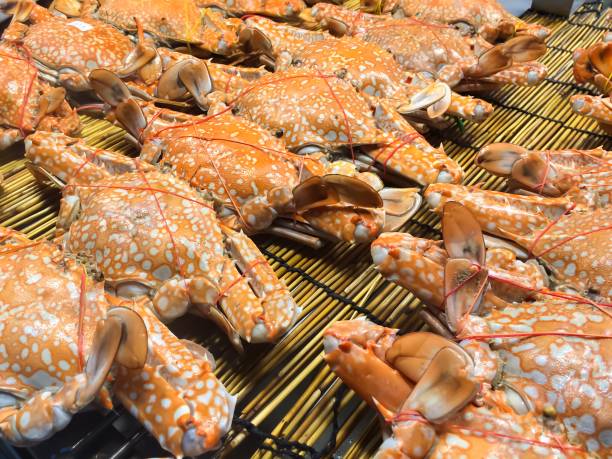 istock Steamed sea crab with seafood sauce 1142534508