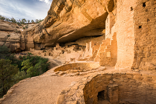 Circular kiva in foreground of adjoining stone structures at Cliff Palace, an Ancient Puebloan (Anasazi) cliff dwelling that was inhabited until the 13th century, Mesa Verde National Park, Colorado, USA
