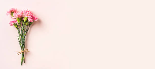 istock top view of carnation on pink background 1142538114