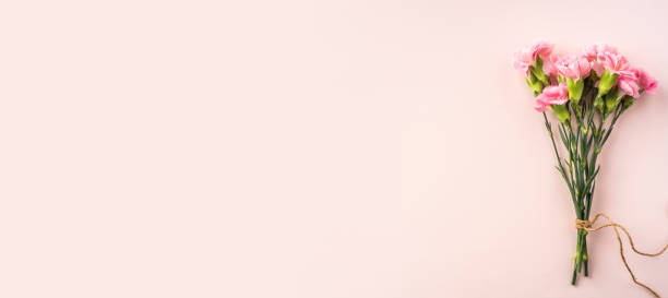 istock top view of carnation on pink background 1142538178