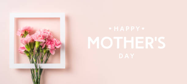 top view of carnation on pink for mothers day event design concept - top view of a bunch of pink carnation with white photo frame and greeting word on pink background for mothers day event with copy space for mock up carnation flower photos stock pictures, royalty-free photos & images