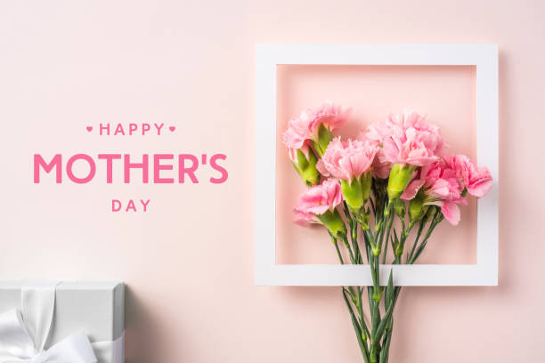 어머니의 날을 위한 분홍색에 카네이션의 평면도 - mothers day 이미지 뉴스 사진 이미지